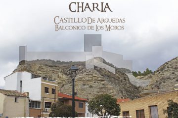 Charla Castillo de Arguedas Redes