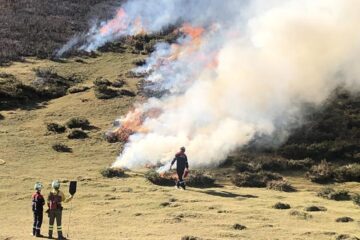 Quemas-prescritas-controladas-por-los-bomberos-forestales-de-Navarra